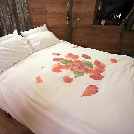 One Bed & Breakfast Sauze D'Oulx